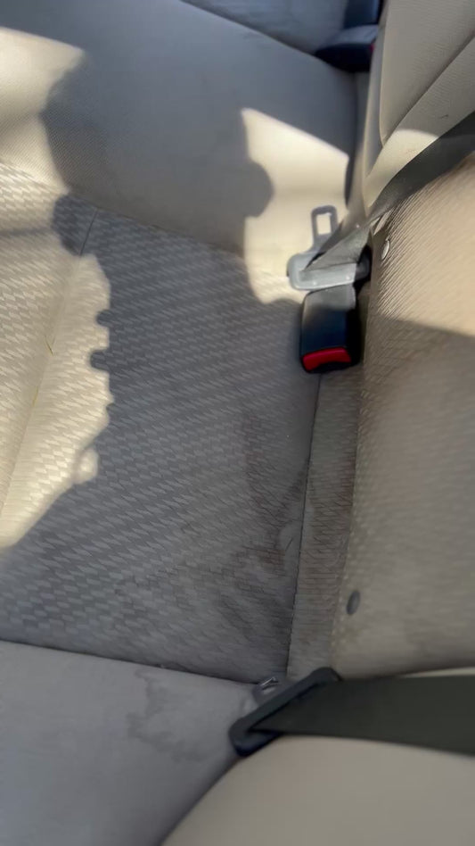 carpet/seat extraction add on